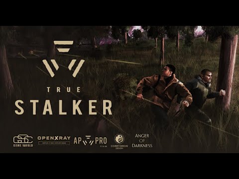 Видео: True Stalker #11 Ключ администраторской. Матвей. Источник помех. Пропавший ученый