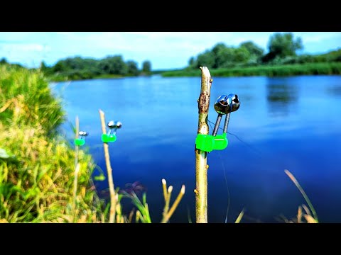 Видео: ЗАКИДУШКИ!!! РЫБАЛКА с НОЧЁВКОЙ!!!