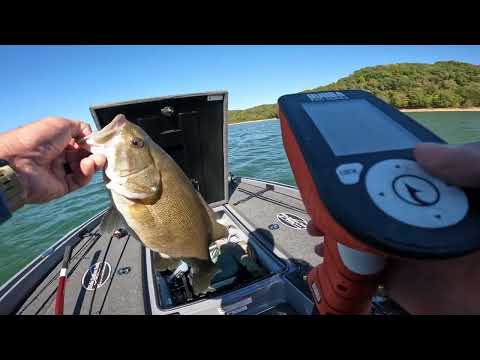 Видео: Ещё один замечательный день ловли большого малоротого окуня в Дейл-Холлоу! 9 октября
