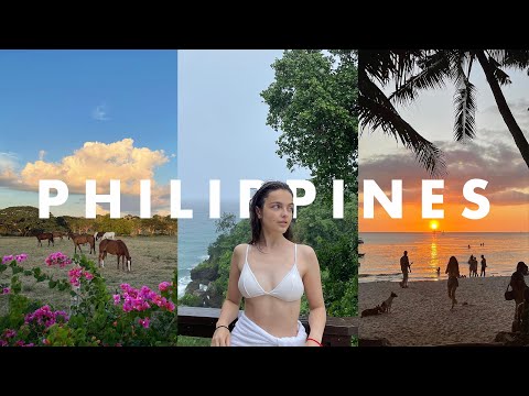 Видео: Получила лицензию на дайвинг | влог