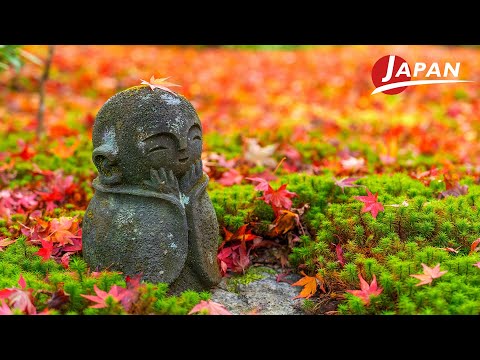 Видео: Удивительная красота осени в Киото, 17 лучших мест для осенней листвы