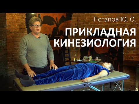 Видео: ПРИКЛАДНАЯ КИНЕЗИОЛОГИЯ | Потапов Юрий Олегович | Санкт-Петербург 20 сентября 2020
