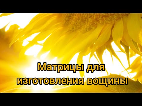 Видео: Матрица для вощины. Подготовка воска для вощины часть 2 #матрицадлявощины #живойсот