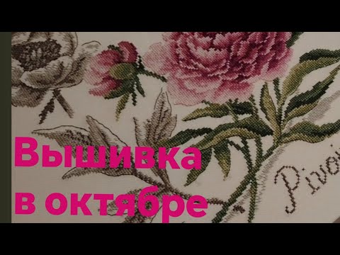 Видео: Вышиваю, пополняю коллекцию
