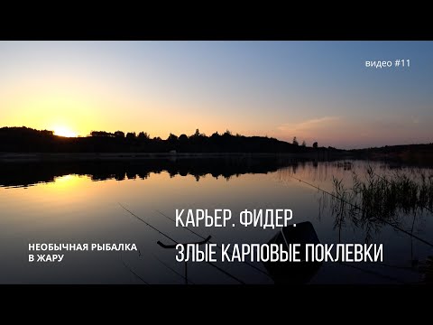 Видео: Карьер. Фидер. Злые карповые поклевки