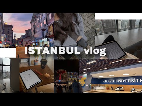 Видео: VLOG/моя учеба в университете//Стамбул