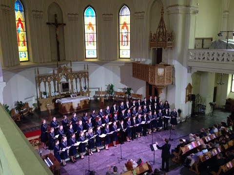 Видео: Концерт хора "Веснянка" к 55-летию студии, собор Петра и Павла 2.04.16 / Childrens choir "VESNIANKA"