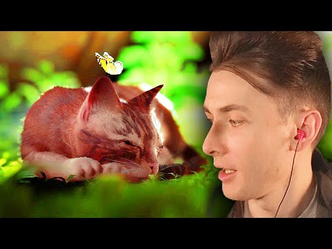 Видео: ХЕСУС ПРОШЕЛ STRAY [ФИНАЛ]