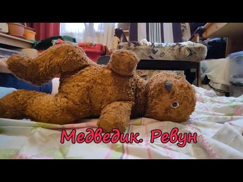 Видео: Медведик. Ревун