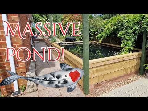 Видео: Как построить пруд для карпов кои с помощью железнодорожных шпал!