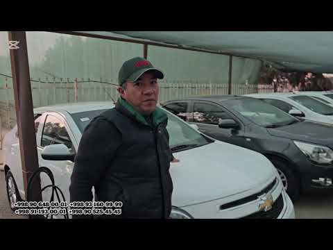 Видео: 7 ноября 2025 г.