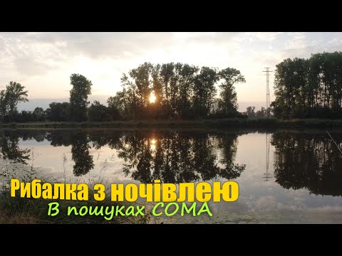 Видео: Фідерна рибалка з ночівлею | Язь, Лящ і спроба зловити ТРОФЕЙНОГО СОМА!