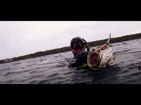 Видео: Морской черт , треска ,гребешок  и красивый закат !