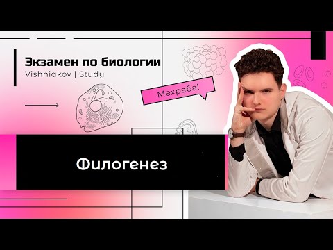 Видео: Экзамен по биологии | ФИЛОГЕНЕЗ