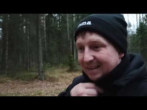 Видео: ИДУ ЧЕРЕЗ ЛЕС,ПРОДАЛ ГАЗЕЛЬ