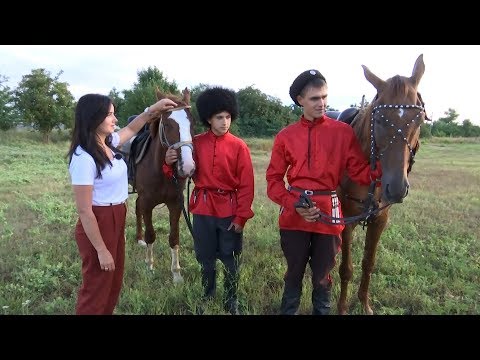 Видео: «Культурная навигация». Кавказская