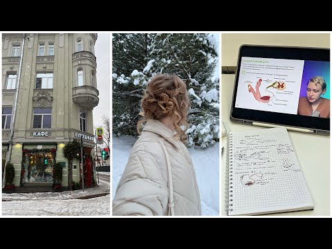 Видео: прошлогодний влог • лицей ниу вшэ • большое зимнее событие