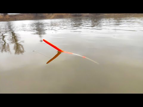 Видео: РЫБА НЕ ОТПУСКАЕТ... КЛЮЁТ СНОВА И СНОВА!! Зимняя рыбалка на поплавок