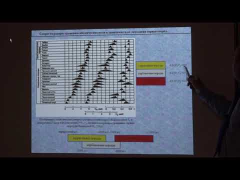 Видео: Ермаков А. П. - Сейсморазведка - Скорости распространения сейсмических волн в горных породах
