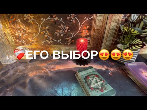 Видео: 11 ноября 2025 г.