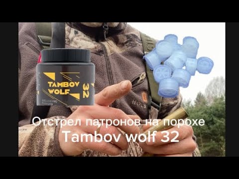 Видео: Отстрел патронов 20 калибра. Порох Tambov Wolf 32.