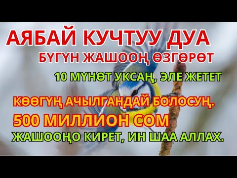 Видео: КЕРЕМЕТ ДУБА! АКЧА ҮЗГҮЛТҮКСҮЗ АГЫП, КАРЫЗДАР ЖОК БОЛУП, БАКЫТТУУ ӨМҮР КЕЛЕТ!