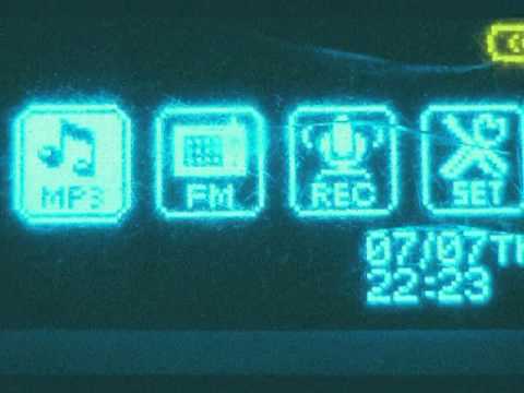 Видео: Дельфин - тишина