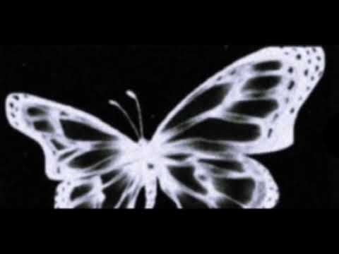 Видео: redchinawave–отменяй (sped up)