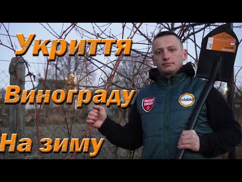 Видео: Укритие винограда назиму. Как укрить виноград осенью.