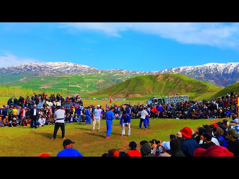 Видео: Гуштинги калон дар Нохияи Файзобод дехаи Заркамар 8 май 2024 лайкора фаромуш накнен 👍👍👍🙏