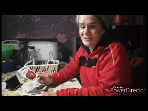 Видео: Обзор семян на 2026 год морковь, свёкла, баклажаны / Жизнь в селе.