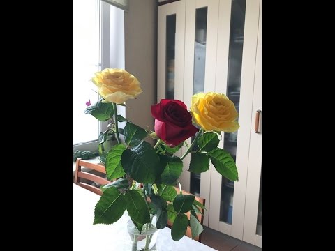 Видео: 30 лет спустя..... 22,04,17