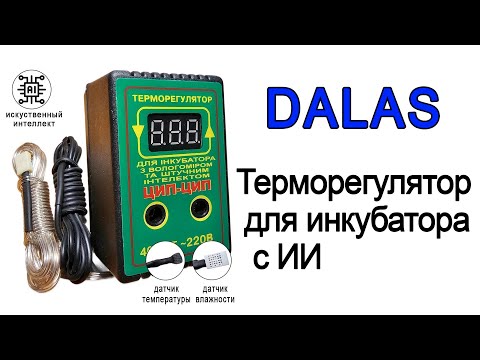 Видео: Терморегултор DALAS для инкубатора с искуственным интеллектом