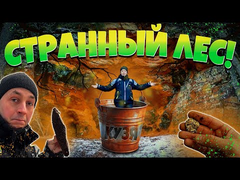 Видео: Пробки в СТРАННОМ ЛЕСУ, ЗНАК СУДЬБЫ и РЫЧАЩИЙ родник! #equinox600 #поискмонет