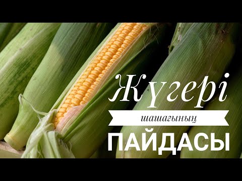 Видео: ЖҮГЕРІ ШАШАҒЫНЫҢ ПАЙДАСЫ. #ем #шипа#кукуруза  #пайдалыкеңес