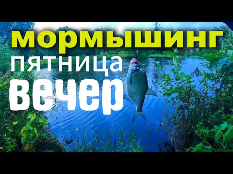 Видео: Мормышинг. Вечер в КОЛПИНО  #мормышинг #стритфишинг #nanojig #streetfishing