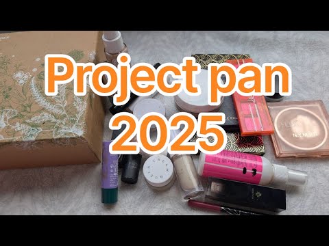 Видео: Project pan 2025 / Проджект пен 2025 / 8 звіт 