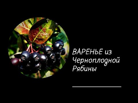 Видео: У Вас есть Черноплодная Рябина Варенье из Черноплодной Рябины