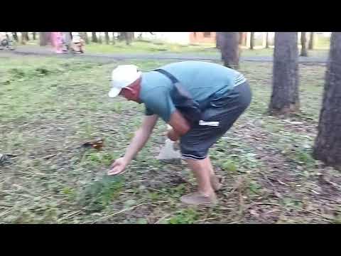 Видео: Переезд в Ставропольский край /Вернулись в Сибирь.../Гуляем по Прокопьевску .Два дня в одном.