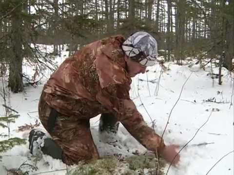 Видео: Заповедный Сахалин. Заказник Красногорский.