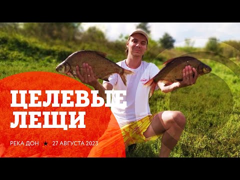 Видео: Ловля леща на Дону в августе