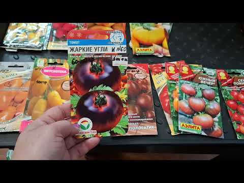 Видео: На 2025 год,не посажу!!!!!😆😆😆🍅🍅🍅