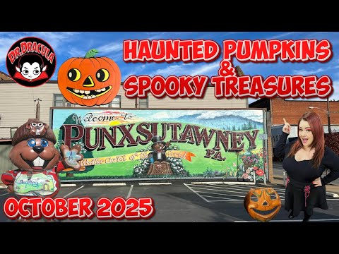 Видео: ПРИВИДЕНИЯ, ГОБЛИНЫ И СУРКИ В АНТИКВАРНОЙ МАГАЗИНЕ!