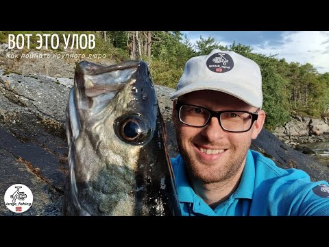Видео: ВОТ ЭТО РЫБАЛКА!!! КАК ПОЙМАТЬ КРУПНОГО ЛЮРА? Рыбалка в Норвегии с берега. Норвегия. ЛЮР