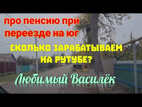 Видео: Ейск🌹Какой у нас заработок на Рутубе? Пенсия , при переезде на юг.  Любимый Василёк .