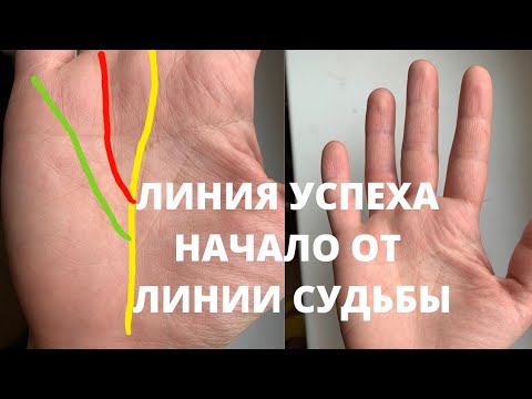 Видео: Линия Успеха (Аполлона) с линии судьбы. Очень длинный указательный палец. Знаки денег на руке