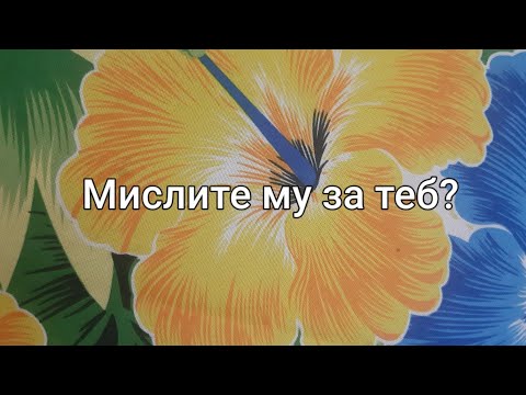 Видео: Какво мисли ТОЙ 💭 за теб? 💯 Таро с Ники ❤️ 💯 🔥