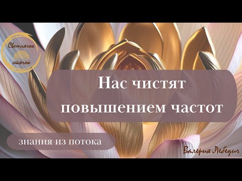 Видео: Нас чистят повышением частот | Принимаем и пропускаем!  #ченнелинг5d #пробуждение #резонансшумана