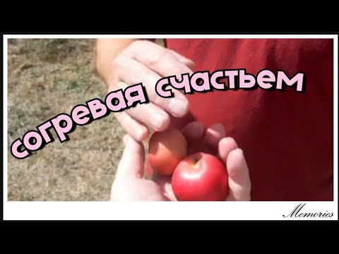 Видео: Любовь,семья,дружба - ради чего ещё стараться жить! Две недели за 15 минут ..
