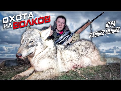 Видео: охота на волков!ДОБЫЛИ осторожного ВОЛКА!.wolf hunting.wolfsjagd